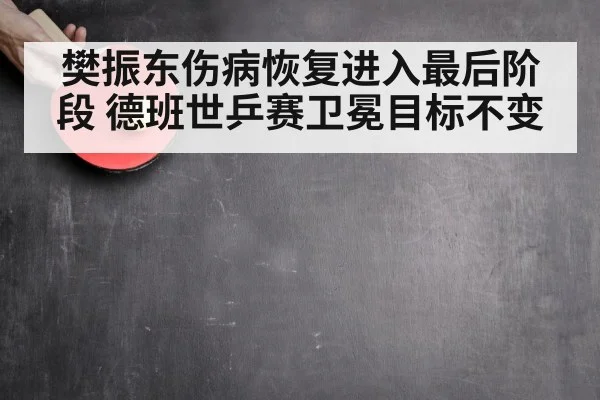 樊振东伤病恢复进入最后阶段 德班世乒赛卫冕目标不变